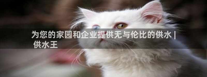 球友会聚餐发言怎么说