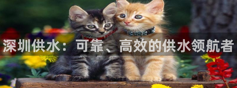 球友会官网入口
