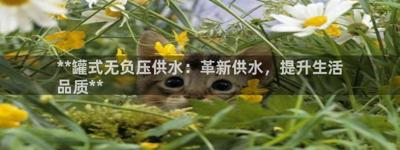 球友会qyh