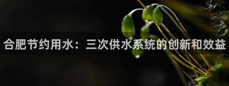 球友会入口