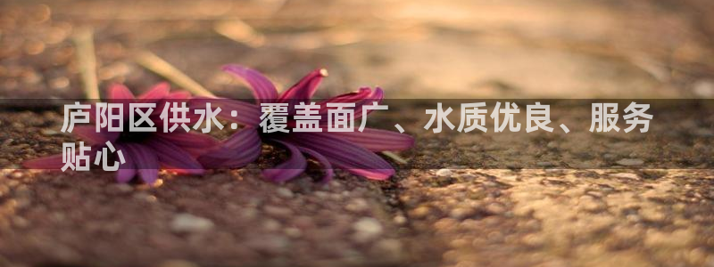 qy球友会体育(中国)官方网站