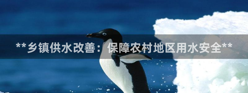 球友会首页