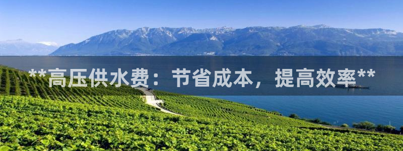 球友会体育app下载