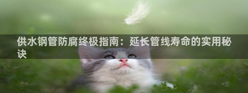 球友会体育app官方版下载安装最新
