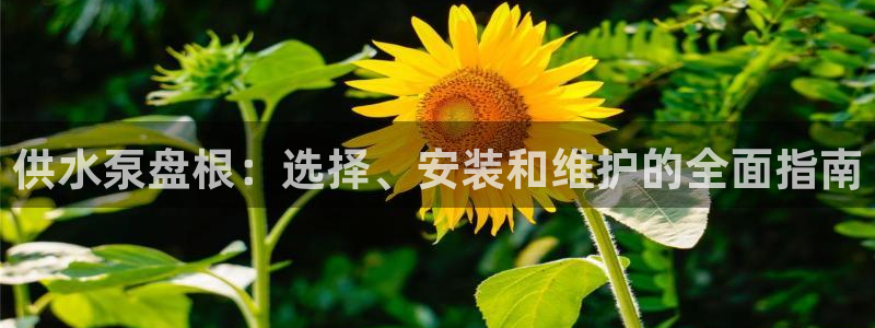 QY球友会