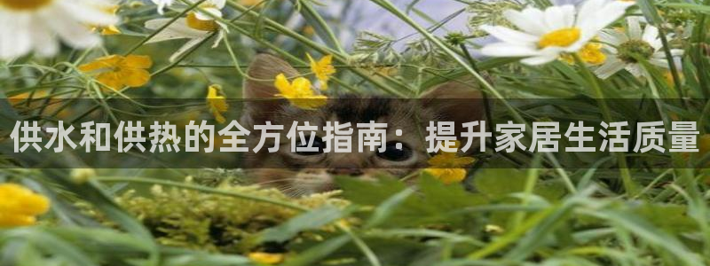 球友会拼音