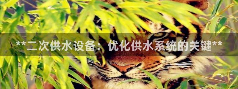 球友会怎么样