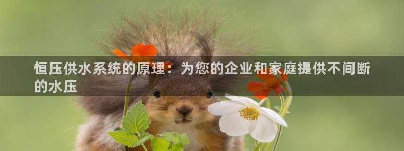 球友会app官网下载