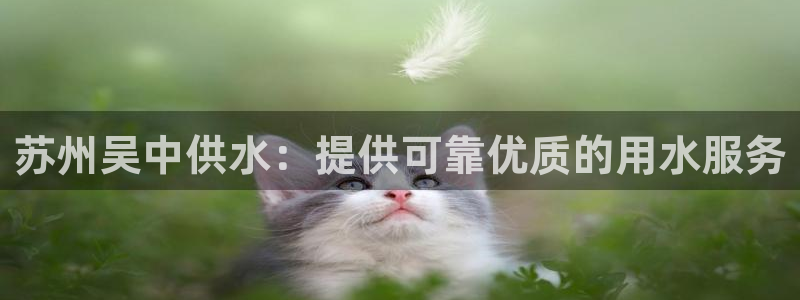 球友会·(QY)官方网站