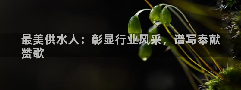 球友会比赛结果查询