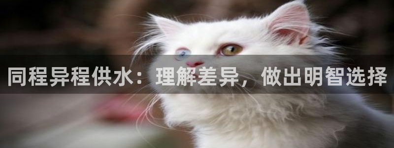 球友会app干啥的啊