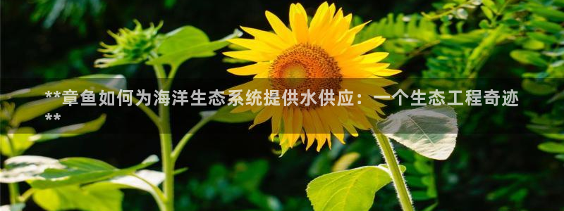 球友会体育
