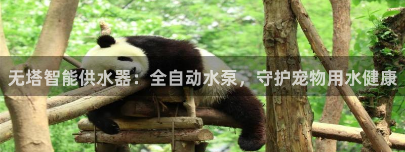 球友会app官网下载苹果