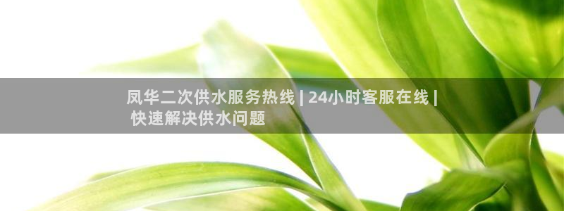 球友会提现不到账