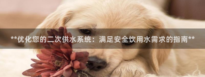 球友会联赛
