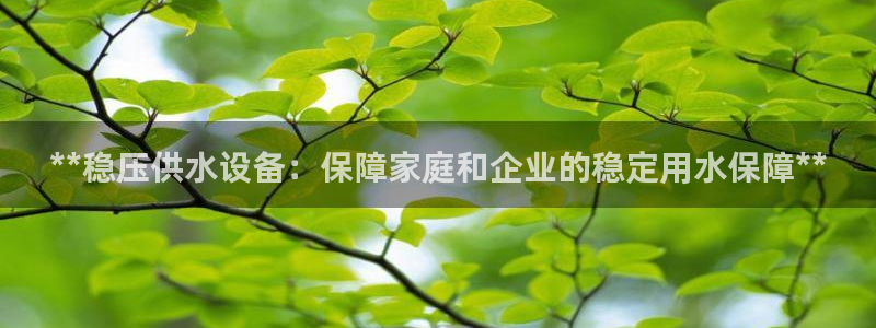 球友会聚餐发言