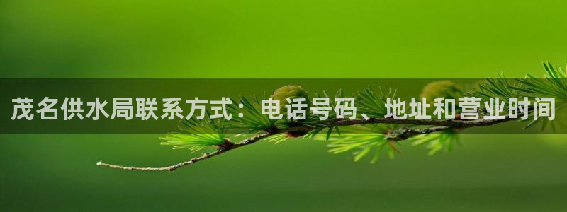 球友会体育app下载
