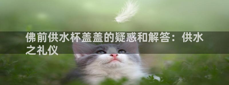 球友会体育app下载官网苹果