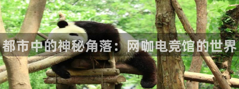 米兰电竞：都市中的神秘角落：网咖电竞馆的世界